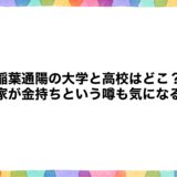稲葉通陽の大学と高校はどこ？実家が金持ちという噂も気になる！